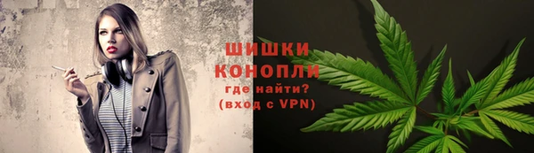 дмт Алзамай
