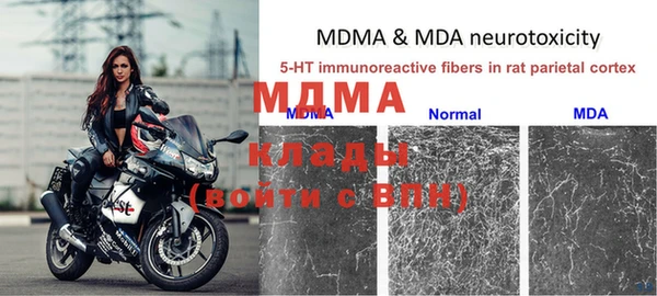 дмт Алзамай